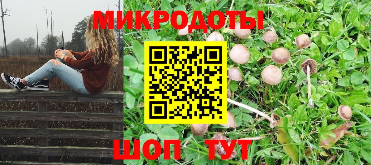 Псилоцибиновые грибы прущие грибы Лобня
