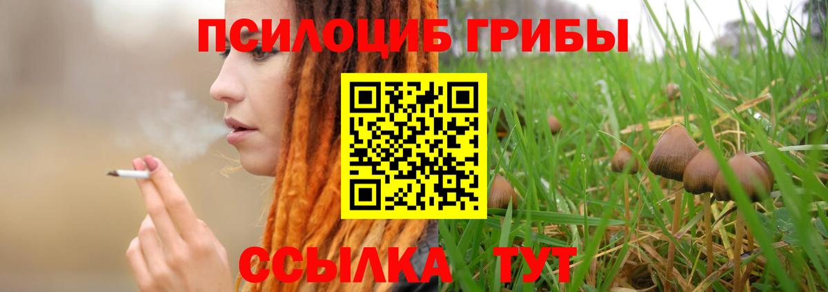 Лобня  Галлюциногенные грибы прущие грибы  Вход с VPN 